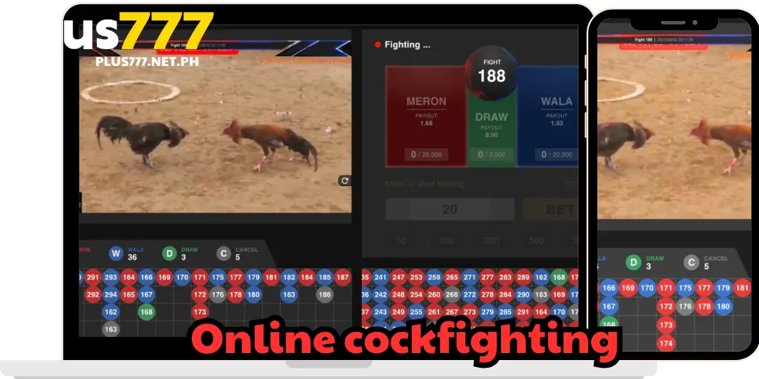 interface Online cockfighting or ds88 at plus777